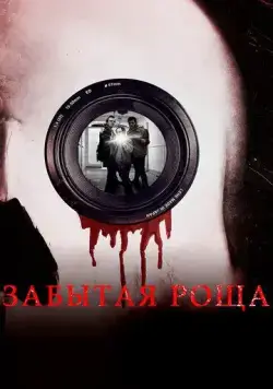 Постер: Забытая роща / Hollows Grove (2014)