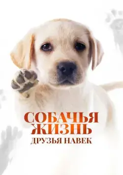 Постер: Собачья жизнь: Друзья навек / Zai jian, Li Kele (2023)