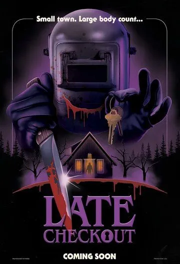 Постер: Поздний выезд / Late Checkout (2023)