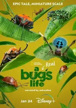 Постер: Приключения настоящего Флика / A Real Bug's Life (2024)