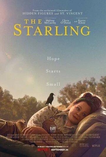 Постер: Скворец / The Starling (2021)