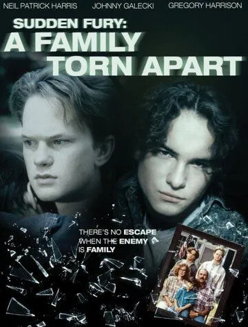 Постер: Внезапная ярость / A Family Torn Apart (1993)