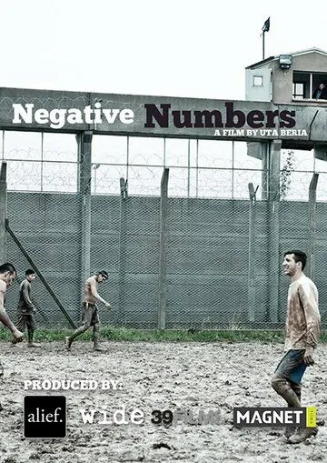 Постер: Отрицательные числа / Negative Numbers (2019)