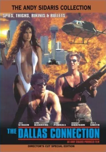 Постер: Проект Даллас / The Dallas Connection (1994)