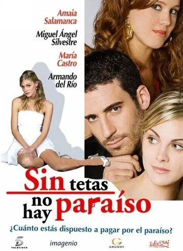 Постер: Без бюста нет рая / Sin tetas no hay paraíso (2008)