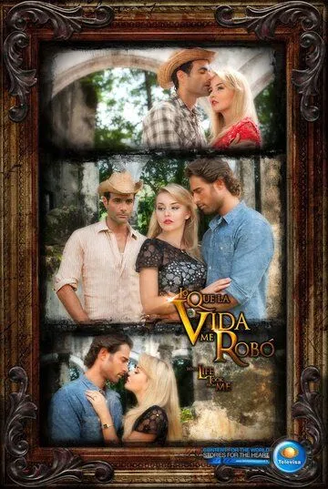 Постер: То, что жизнь у меня украла / What Life Took from Me (2013)