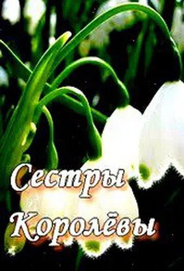 Постер: Сестры Королевы (2010)