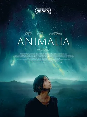 Постер: Анималия / Animalia (2023)