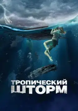 Постер: Тропический шторм / The Requin (2022)