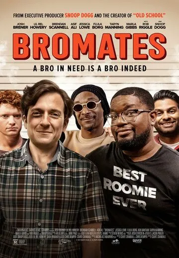 Постер: Братья по комнате / Bromates (2022)