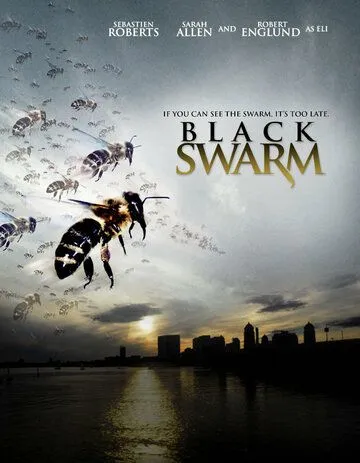 Постер: Черный рой / Black Swarm (2007)