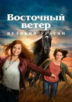 Постер: Восточный ветер. Великий ураган (2021)