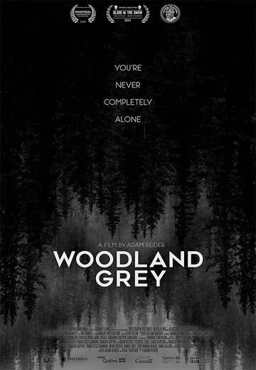 Постер: Серый лес / Woodland Grey (2021)