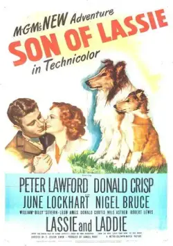 Постер: Сын Лесси / Son of Lassie (1945)