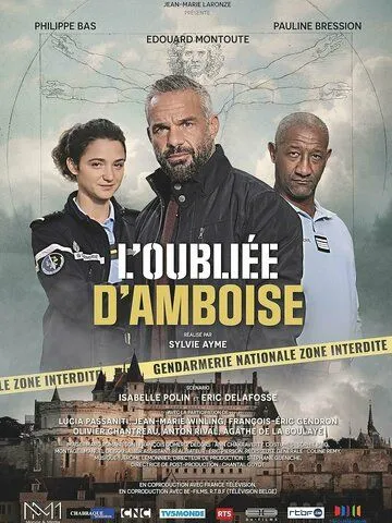 Постер: Пропавшая в Амбуазе / L'oubliée d'Amboise (2022)
