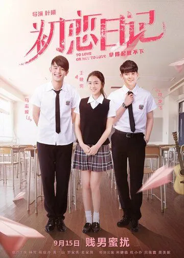 Постер: Любить или не любить / Chu lian ri ji (2017)