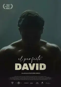 Постер: Идеальный Давид / El perfecto David (2021)