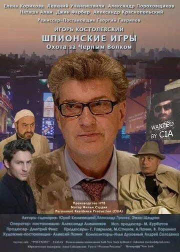 Постер: Шпионские игры: Охота на черного волка (2006)