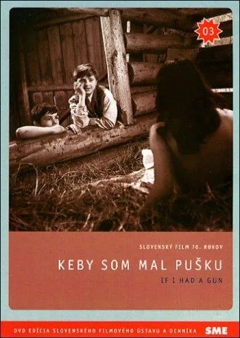 Постер: Если бы у меня было ружье / Keby som mal pusku (1971)