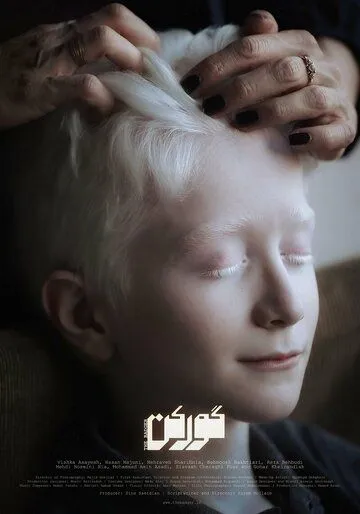 Постер: Барсук / The Badger (2020)