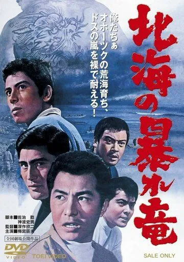 Постер: Дракон, буйствующий в Северном море / Hokkai no Abare-Ryu (1966)