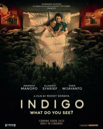 Постер: Индиго / Indigo (2023)