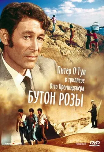 Постер: Бутон розы (1975)