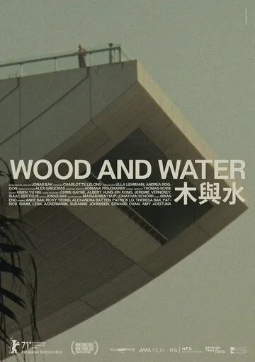 Постер: Дерево и вода / Wood and Water (2021)