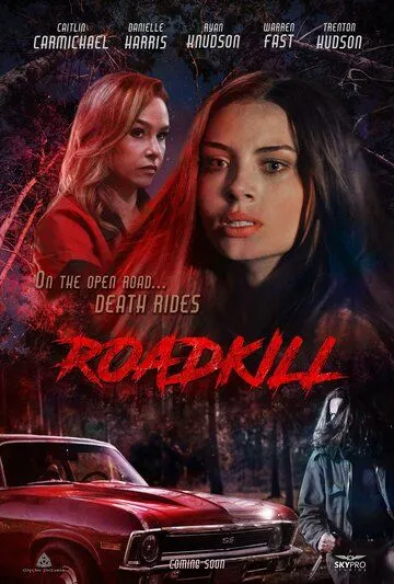 Постер: Смерть на дорожку / Roadkill (2024)