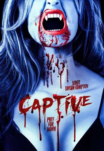 Постер: Пленник / Captive (2023)