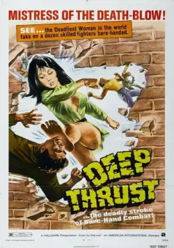 Постер: Леди Вихрь / Tie zhang xuan feng tui (1972)