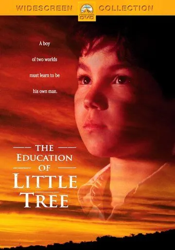Постер: Приключения маленького индейца / The Education of Little Tree (1997)