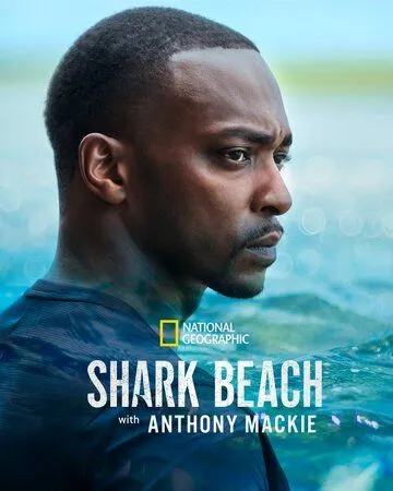 Постер: Акулий пляж с Энтони Маки / Shark Beach with Anthony Mackie (2024)