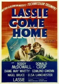 Постер: Лесси возвращается домой / Lassie Come Home (1943)