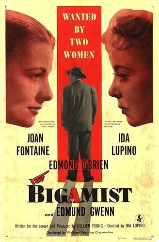 Постер: Двоеженец / The Bigamist (1953)
