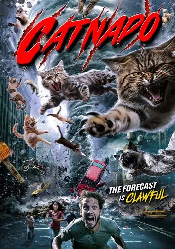 Постер: Кошачий торнадо / Catnado (2024)