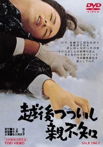 Постер: Это случилось в Этиго / Echigo Tsutsuishi Oyashirazu (1964)