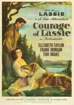 Постер: Храбрость Лэсси / Courage of Lassie (1946)