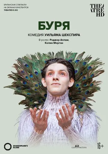 Постер: Буря (2014)
