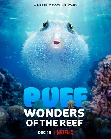 Постер: Чудеса кораллового рифа / Puff: Wonders of the Reef (2021)