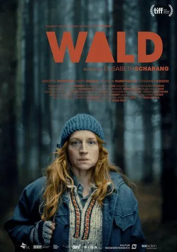 Постер: Лесная Страна / Wald (2023)