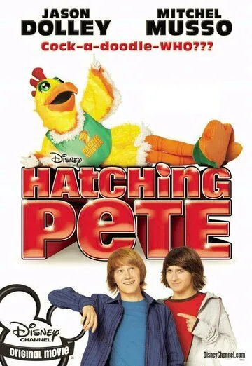 Постер: Пит в перьях / Hatching Pete (2009)