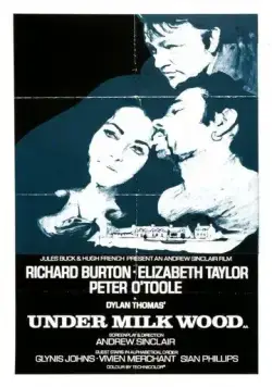 Постер: Под сенью млечного леса / Under Milk Wood (1971)