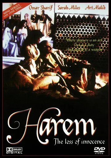 Постер: Гарем. Утрата невинности / Harem (1986)