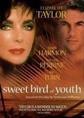Постер: Сладкоголосая птица юности / Sweet Bird of Youth (1989)
