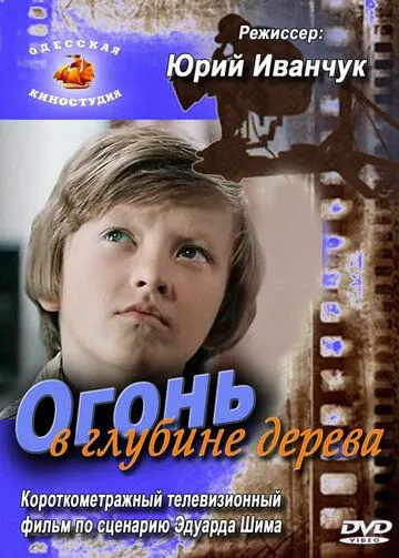 Постер: Огонь в глубине дерева (1978)