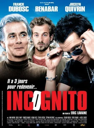 Постер: Инкогнито / Incognito (2009)