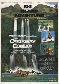 Постер: Ковбой издалека / The Castaway Cowboy (1974)