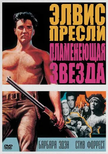 Постер: Пламенеющая звезда / Flaming Star (1960)