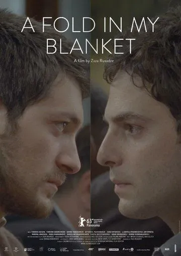 Постер: Складки на моем одеяле / Chemi sabnis naketsi (2013)